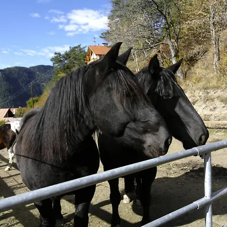 Διαμέρισμα Petter 1 *